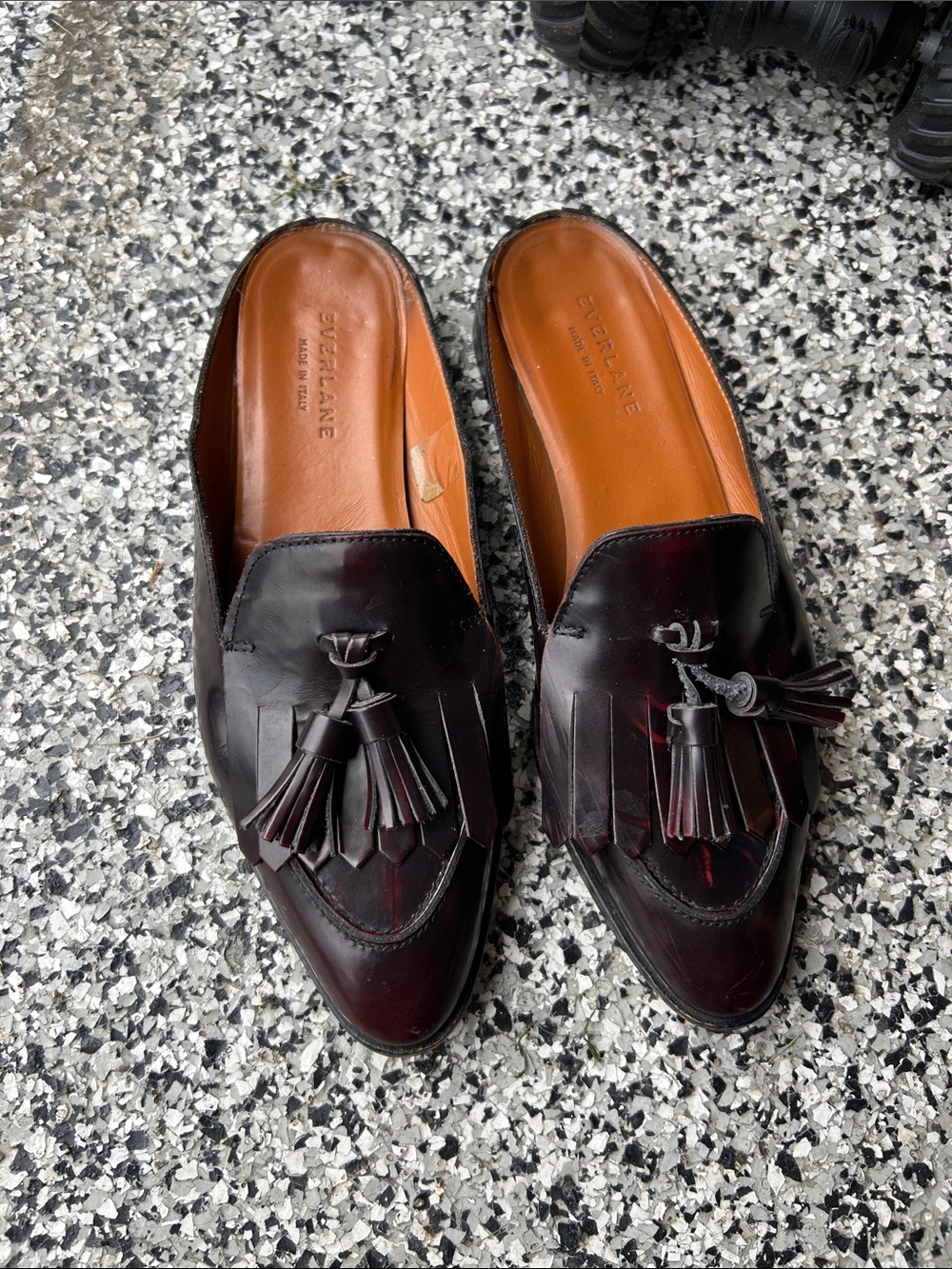 Everlane woMen’s Dark Burgundy Leather Tassel Slip-On Mules
